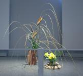 27 - Raina Ho.jpg 4.4K